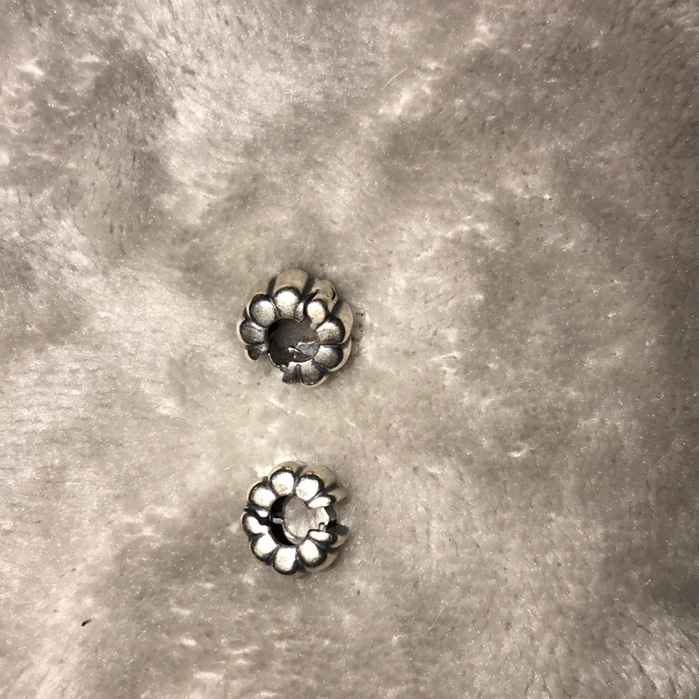 Authentic pandora clips